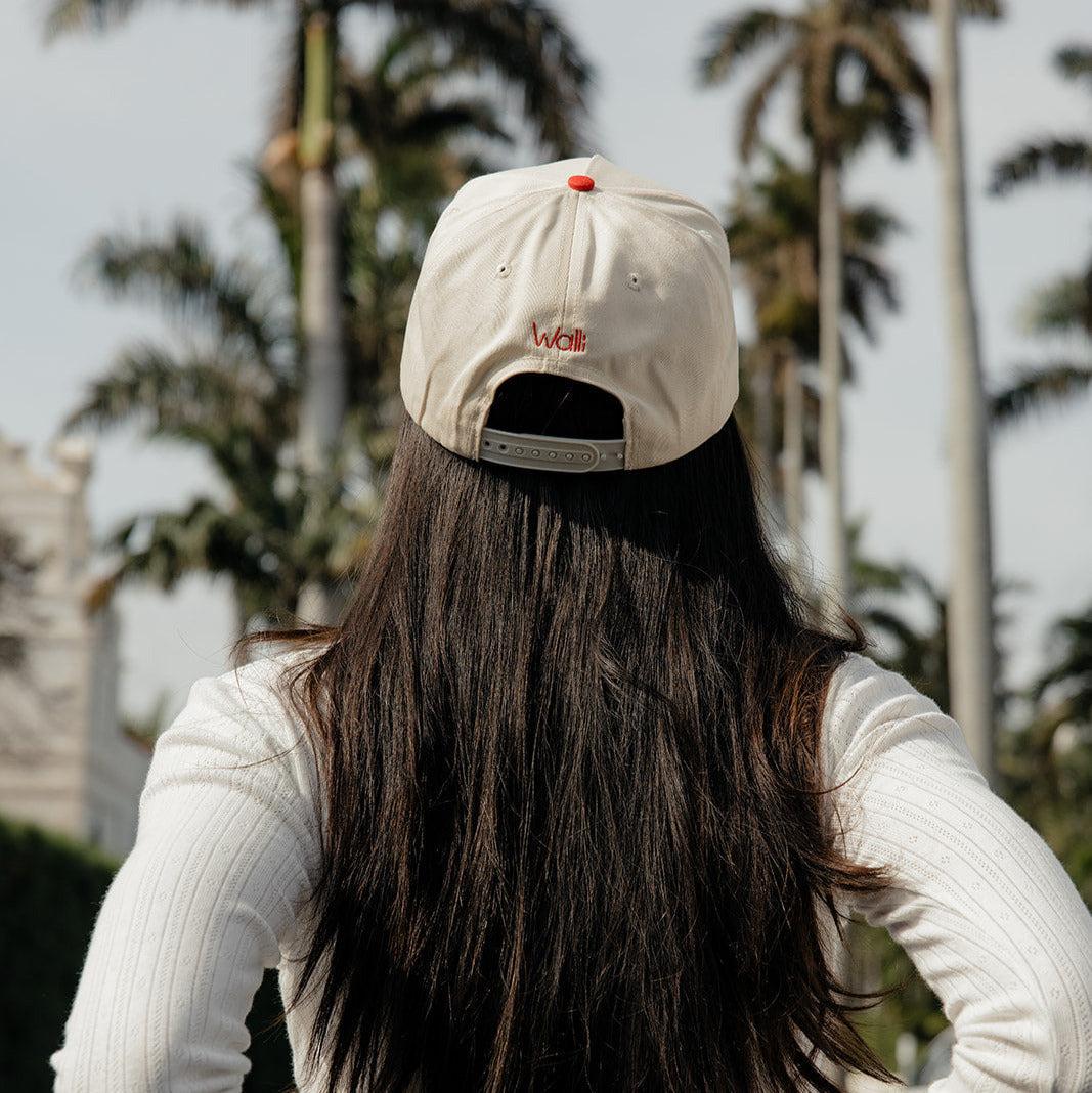Text Me Later Hat