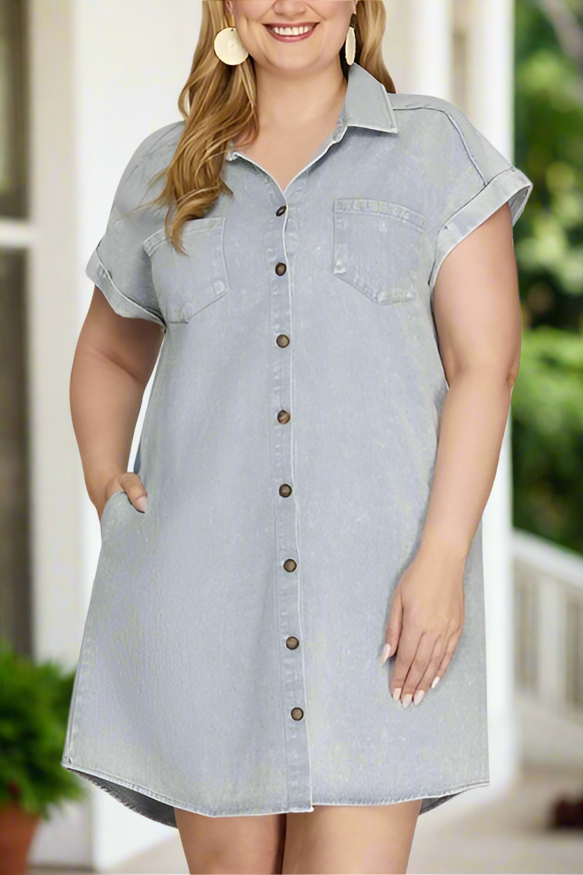 Daisy Denim Dress